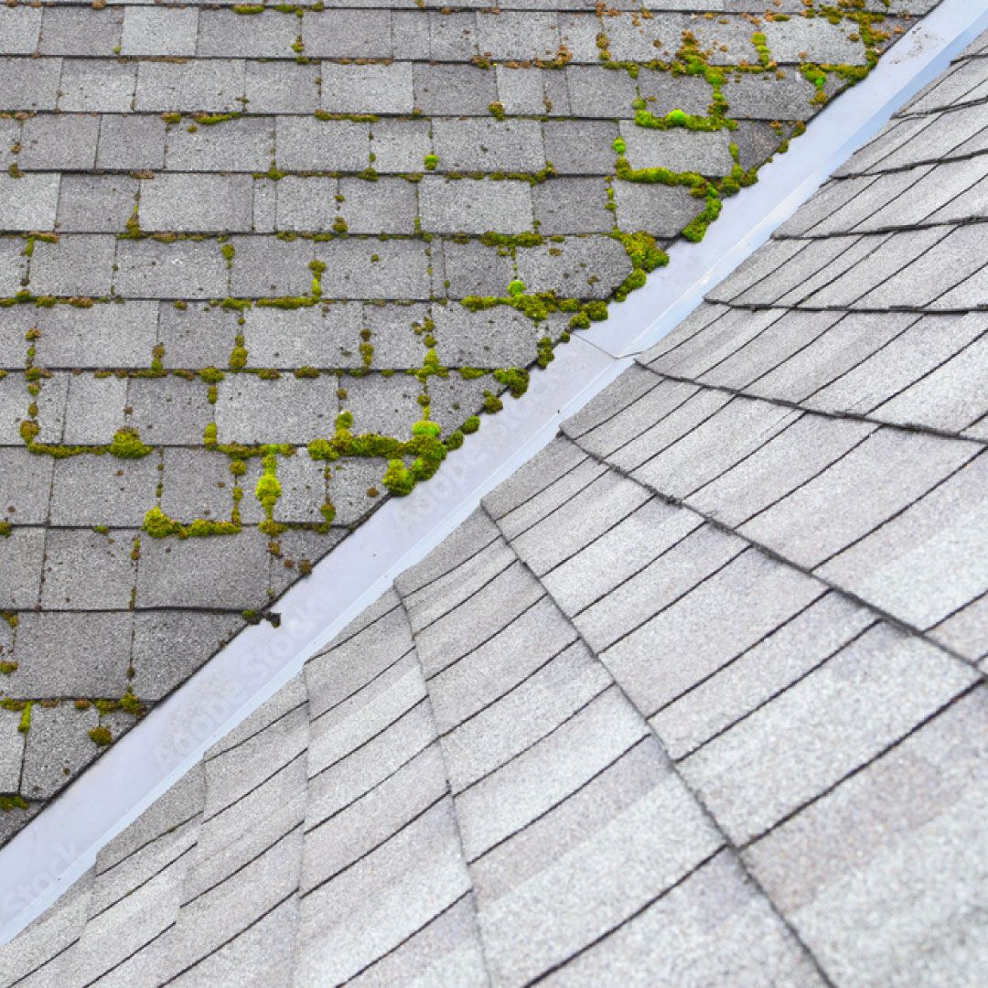 one roof with moss contrasting with cleaned adjoining roof